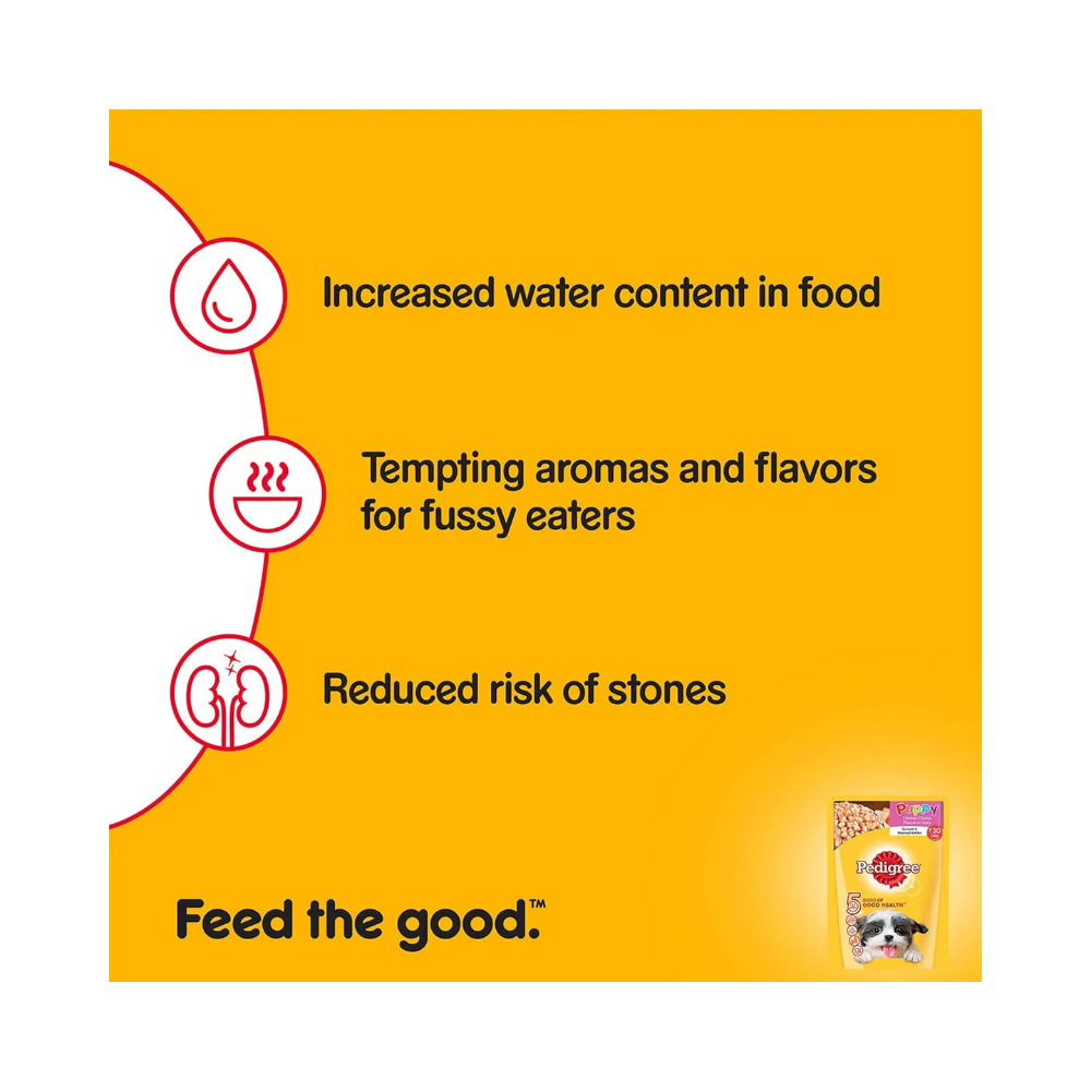 Pedigree Puppy Wet Dog Food Chicken Chunks in Gravy - Image 5