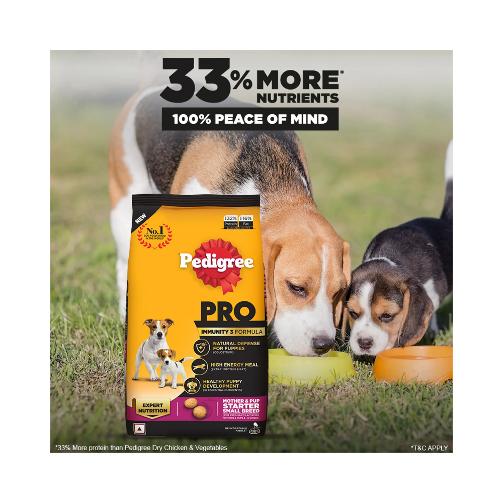 Pedigree PRO Expert Nutrition Lactating Pregnant Mother and Puppy Starter Small Breed Dog Dry Food - Image 7