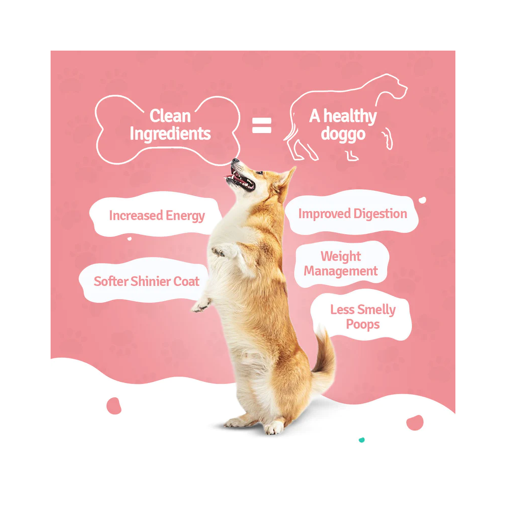 Fresh Dog Food Trial Box (All 3 recipes) - Image 4