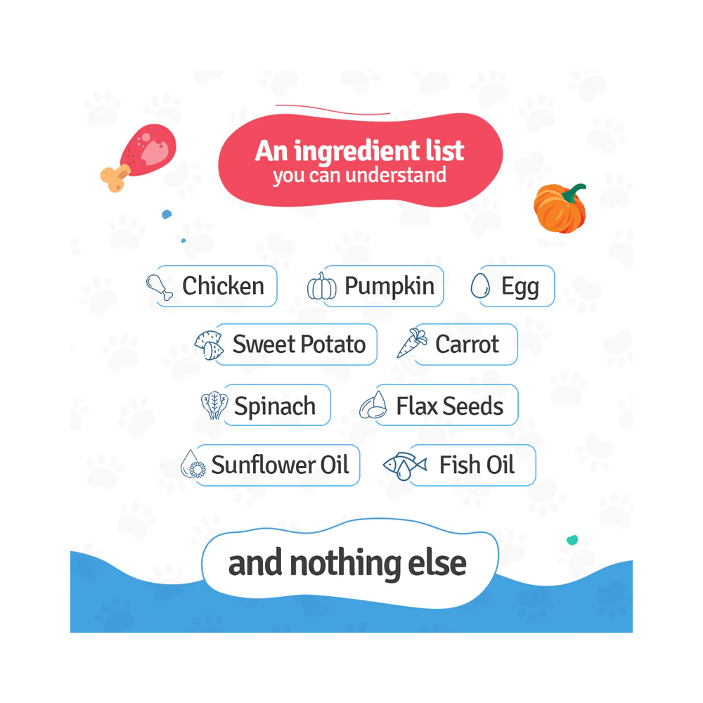 Chicken Pumpkin Pawer - Fresh Dog Food - Image 2