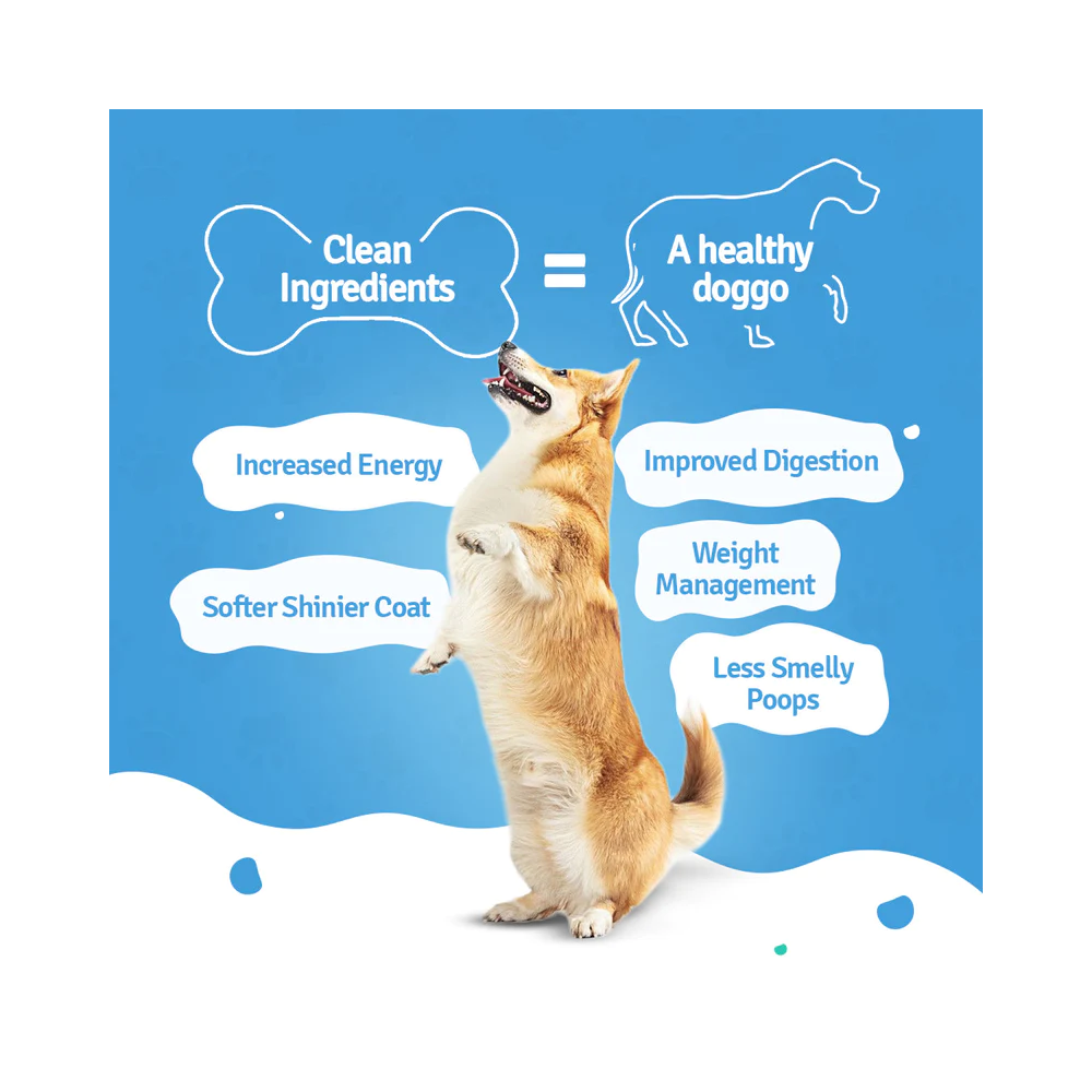 Chicken Pumpkin Pawer - Fresh Dog Food - Image 4