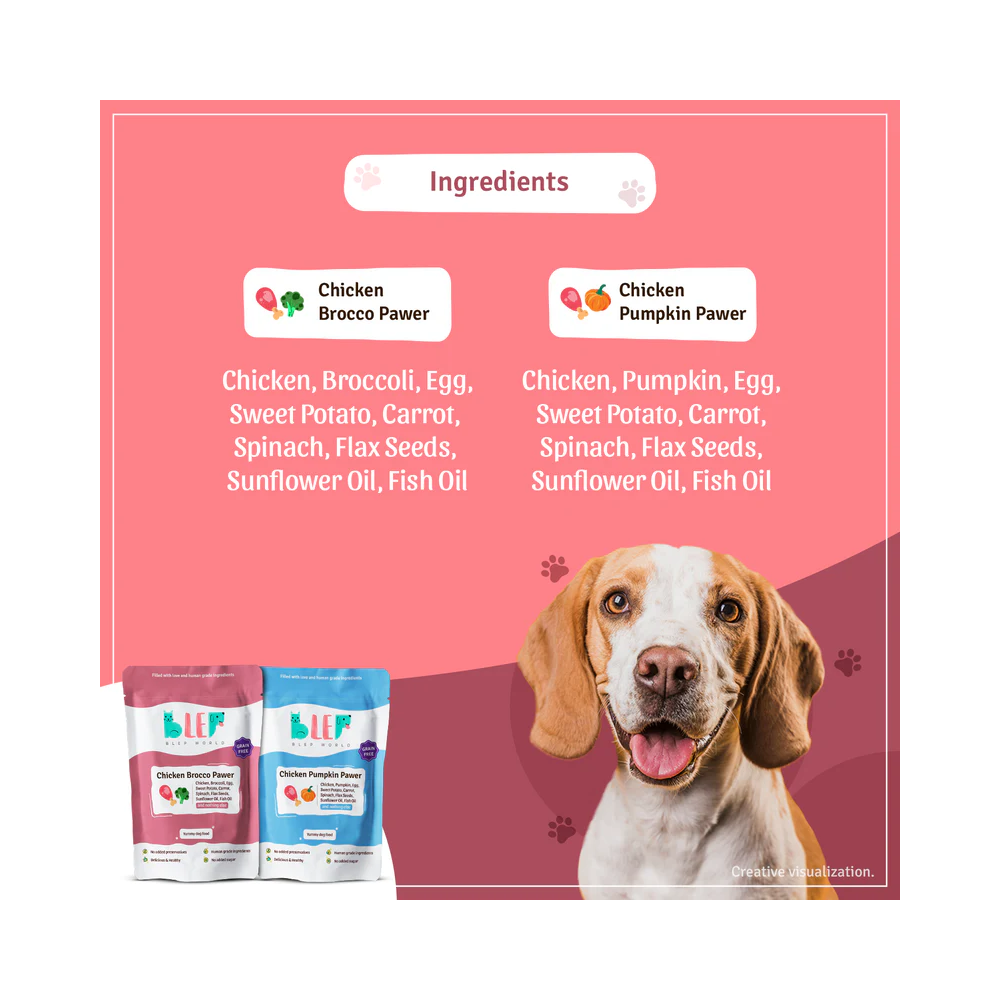 Chicken Pumpkin and Brocco Fresh Dog Food Combo Pack - Image 2