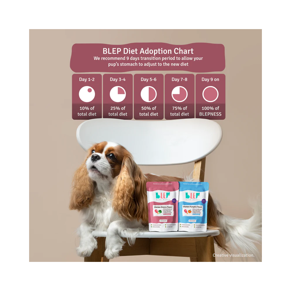 Chicken Pumpkin and Brocco Fresh Dog Food Combo Pack - Image 4