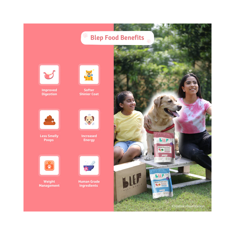 Chicken Pumpkin and Brocco Fresh Dog Food Combo Pack - Image 5