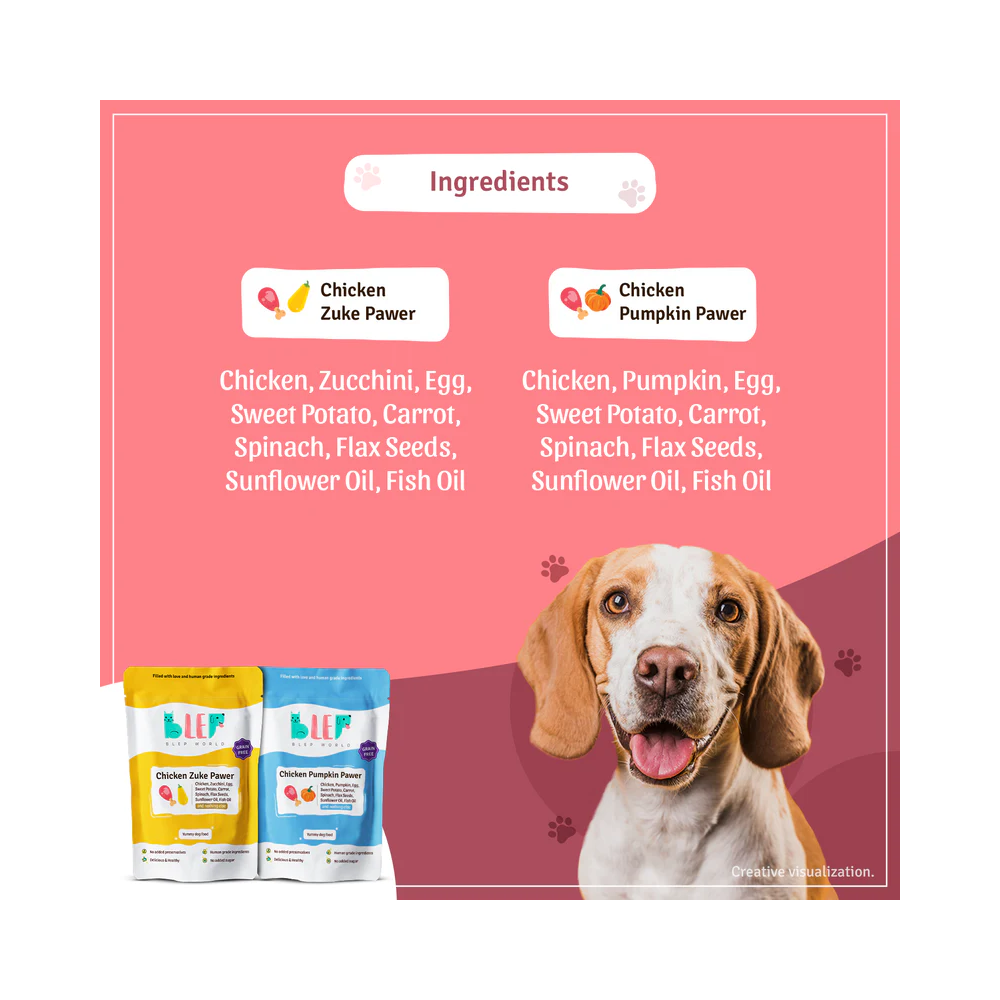 Chicken Zuke and Pumpkin Fresh Dog Food Combo Pack - Image 2