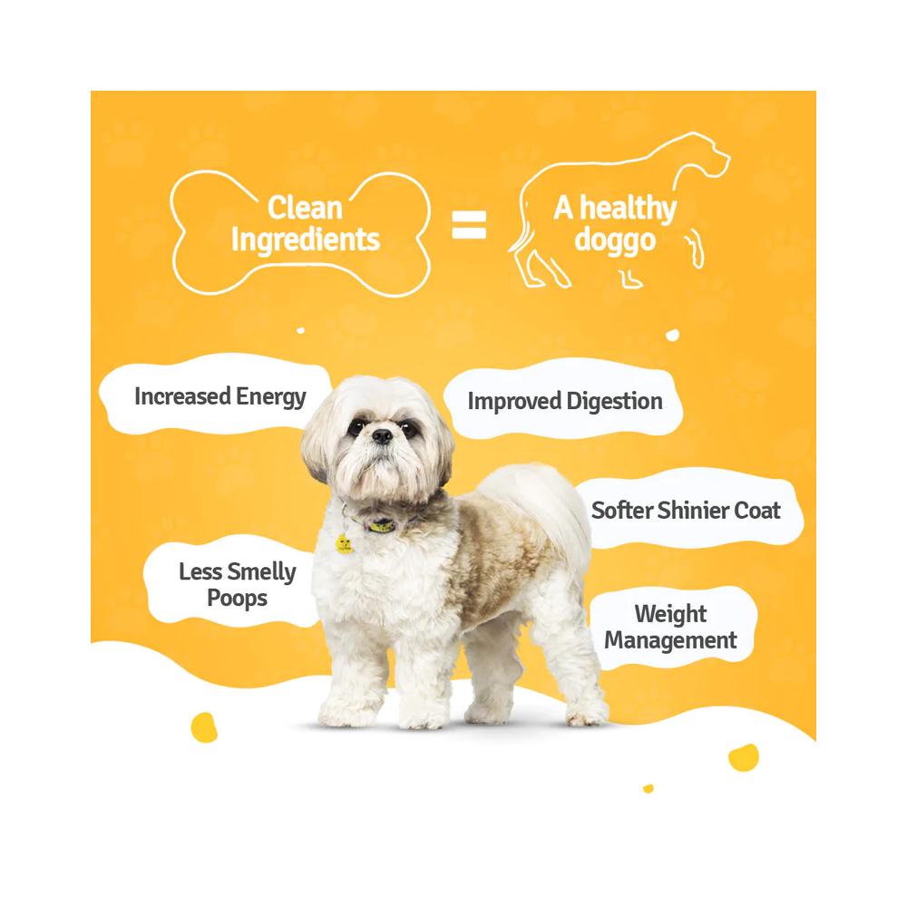 Chicken Zuke Pawer - Fresh Dog Food - Image 5