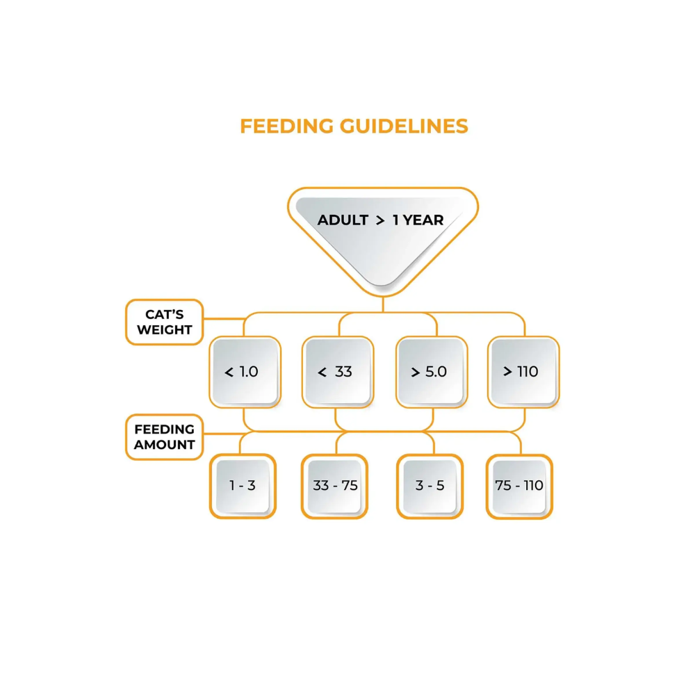 Meo Pouch Cat Food Chicken Chunk in Gravy - Image 5