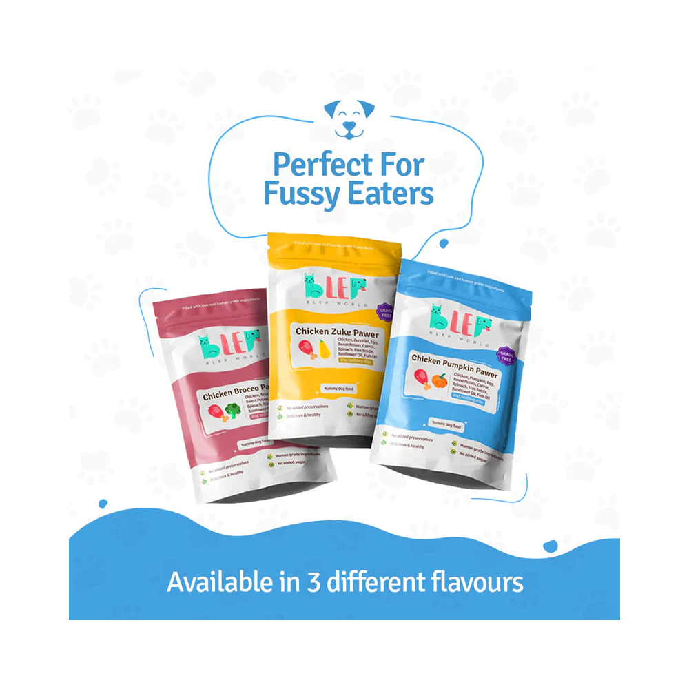 Monthly Packs of Chicken Pumpkin, Zuke and Brocco - Fresh Dog Food - Image 6