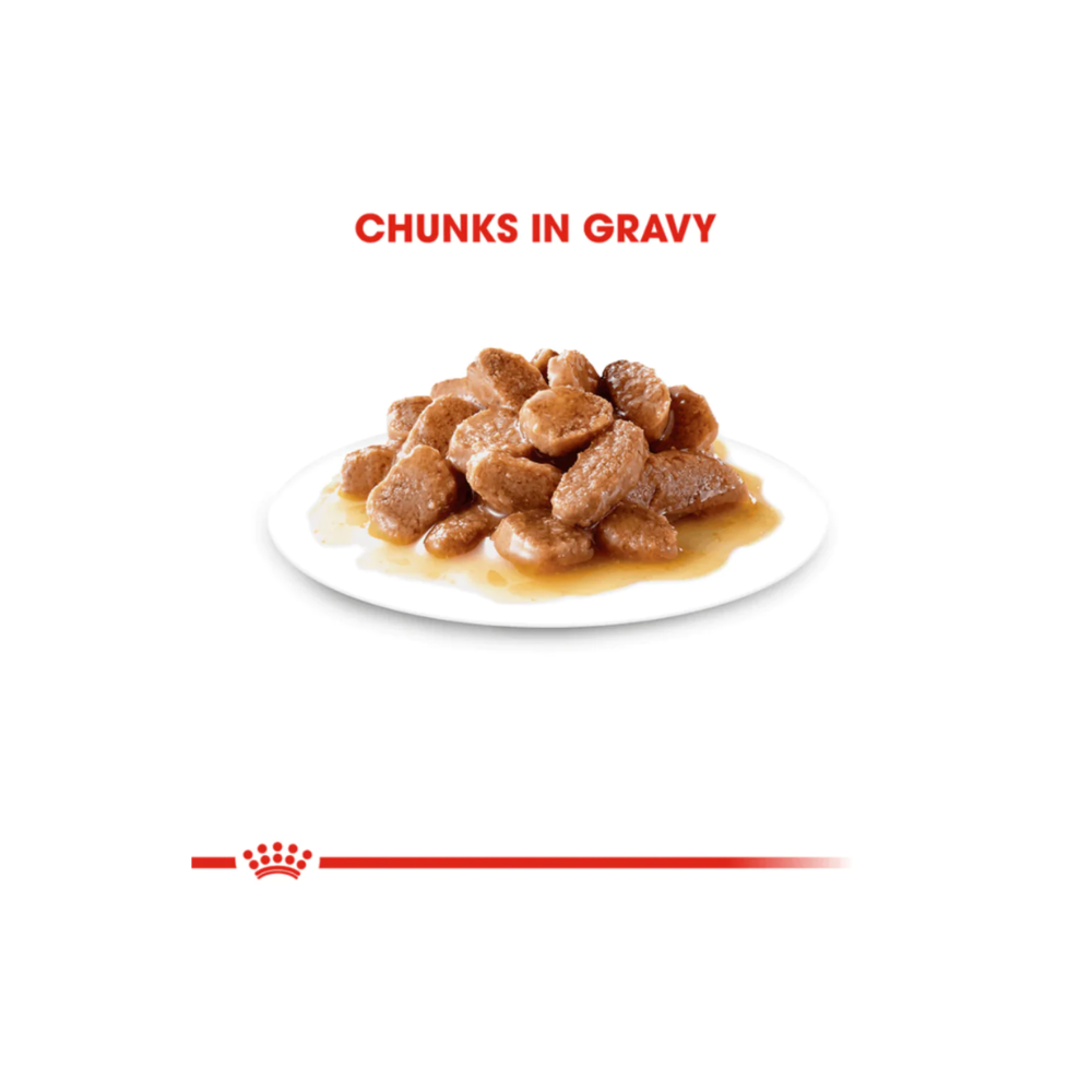 Royal Canin Instinctive Adult Gravy Cat Wet Food - Image 2