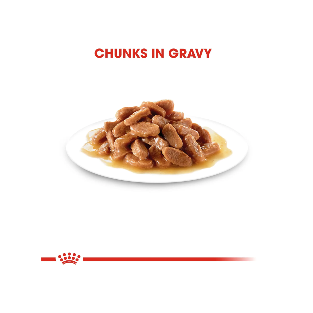Royal Canin Kitten Gravy Instinctive pack - Image 5