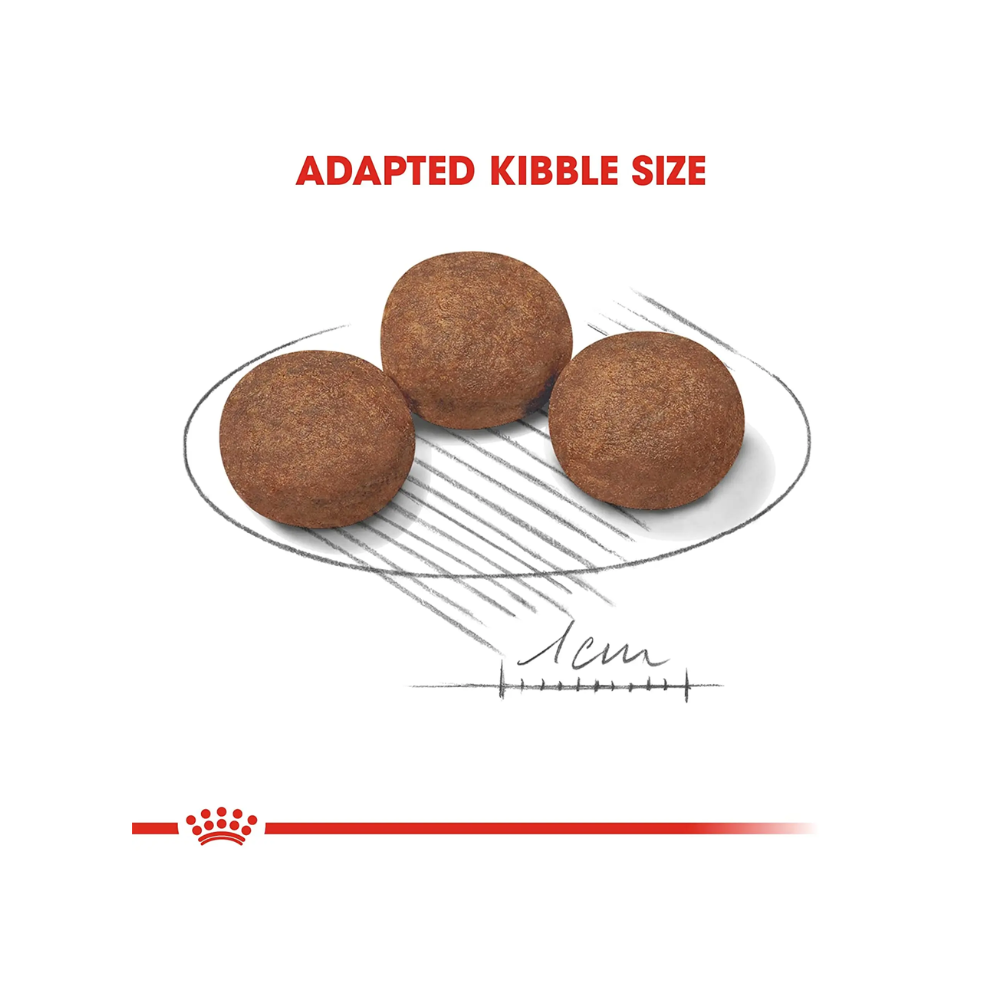 Royal Canin Medium Puppy Dry Dog Food - Image 4