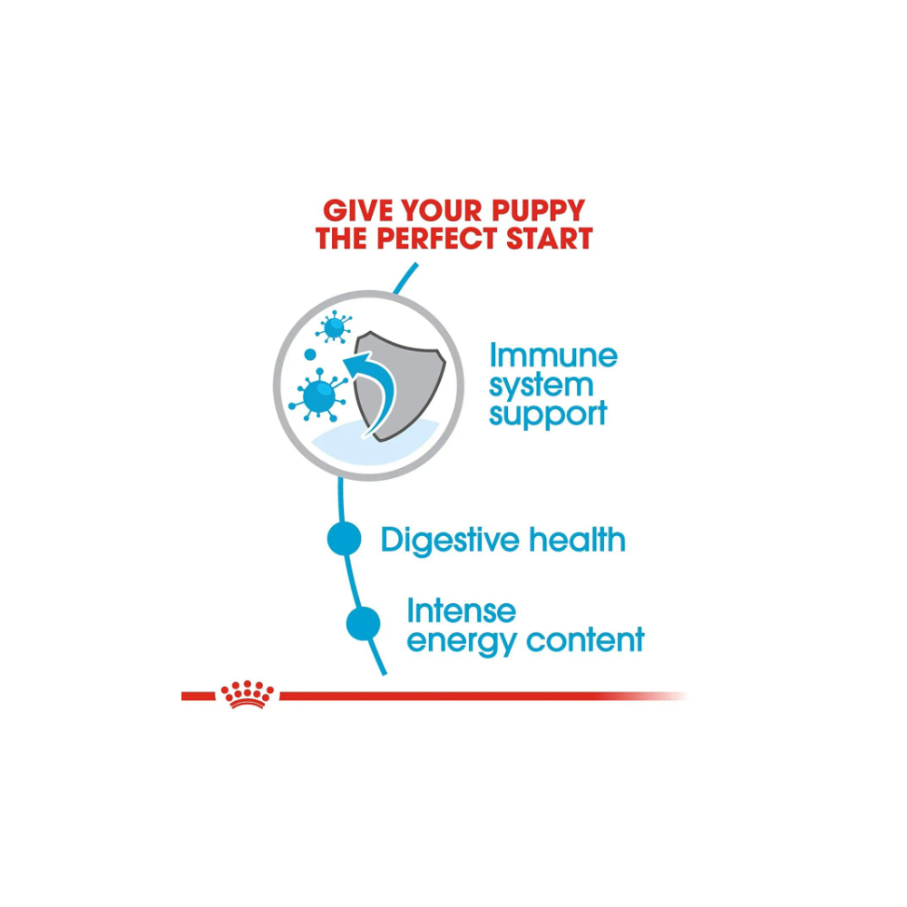 Royal Canin Mini Puppy Dog Food - Image 4