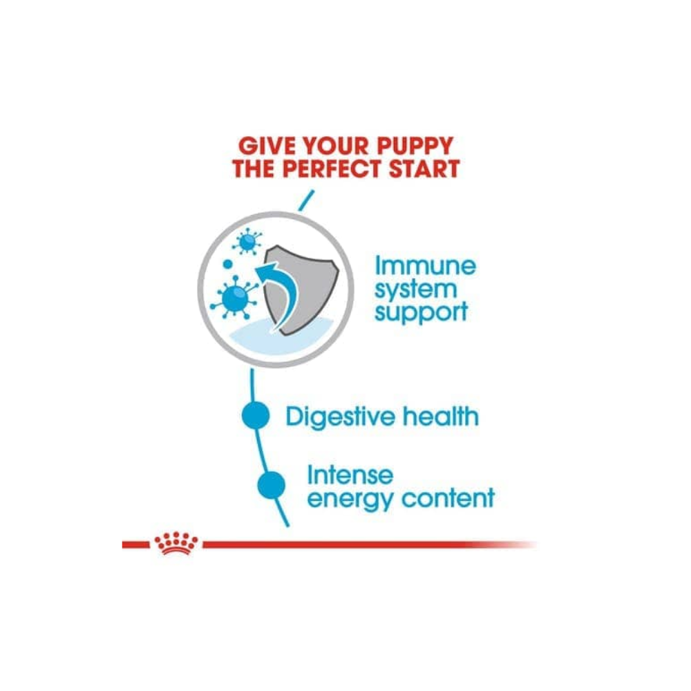 Royal Canin Mini Puppy Wet Gravy Pouch Dog Food - Image 3