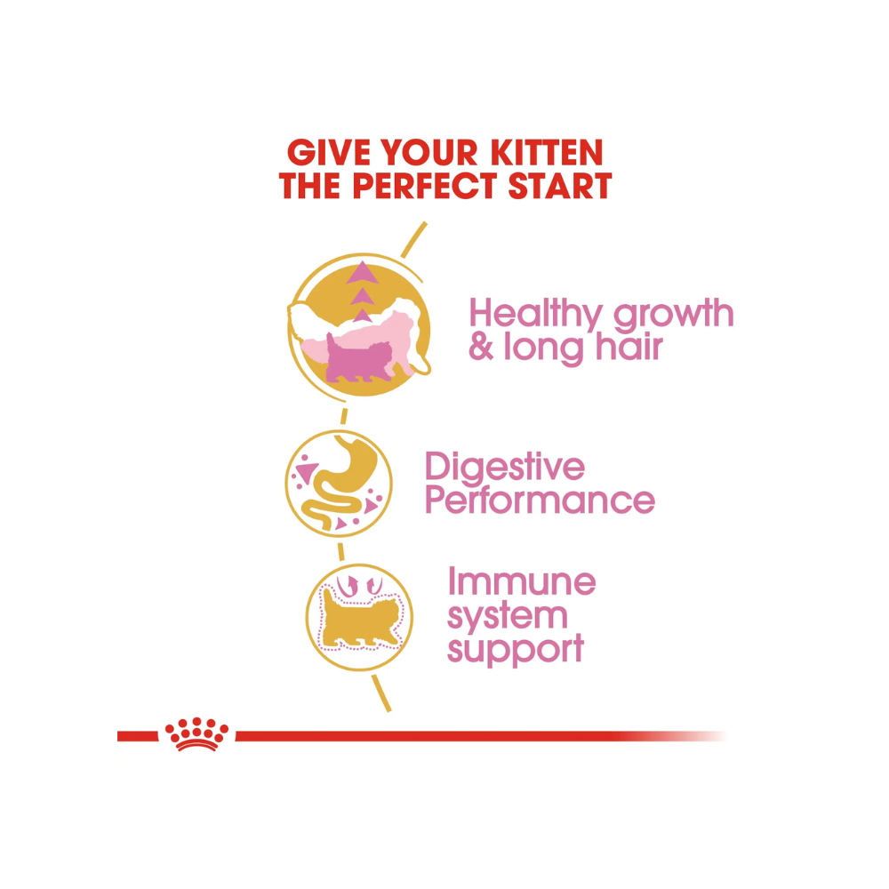 Royal Canin Persian Kitten Dry Cat Food - Image 4