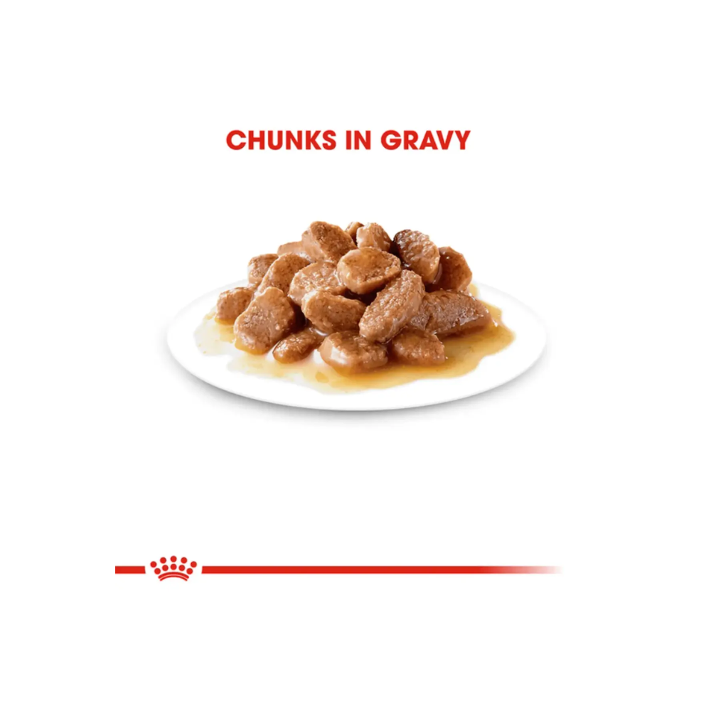 Royal Canin Salsa Sas Gravy Ageing Cat Food - Image 4