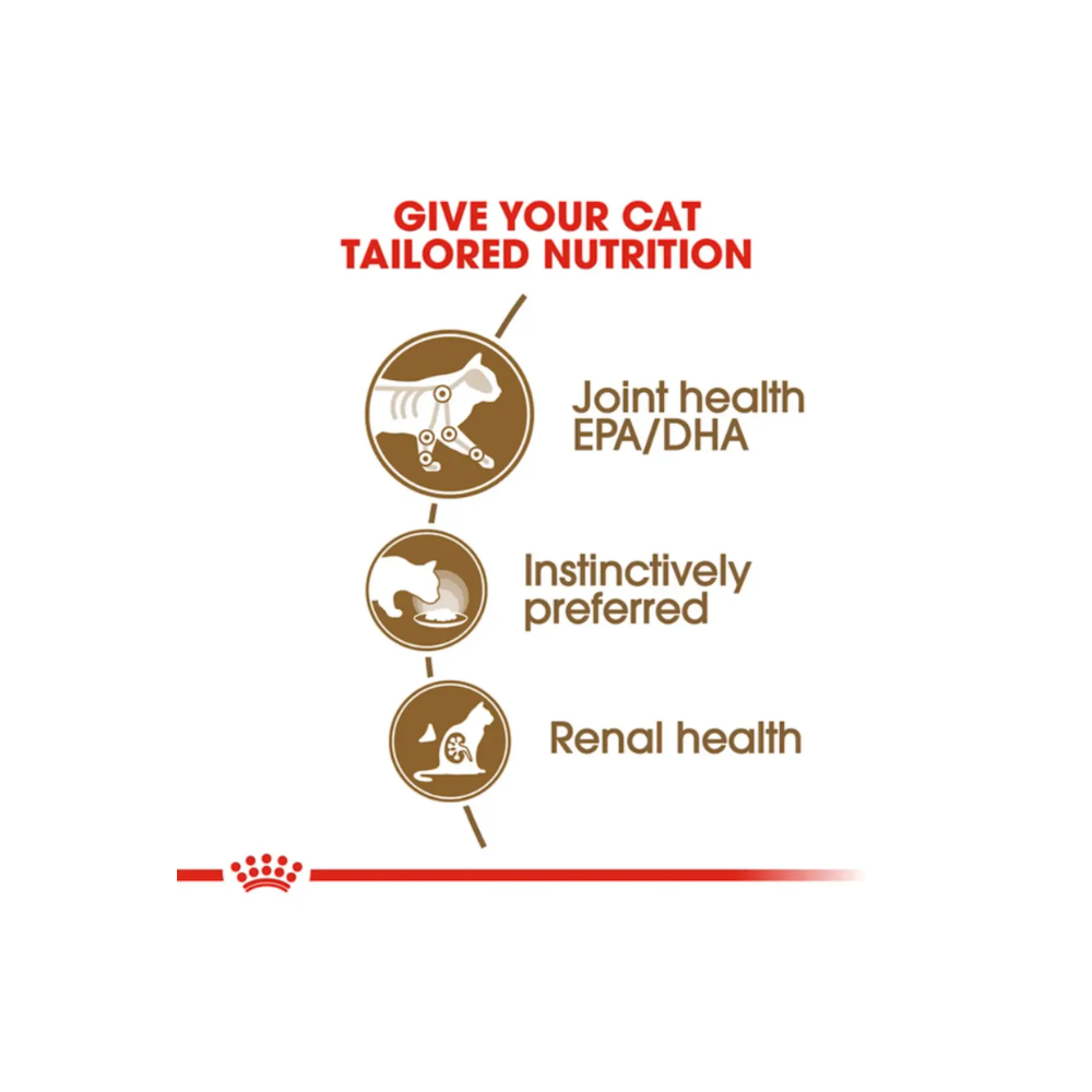 Royal Canin Salsa Sas Gravy Ageing Cat Food - Image 5