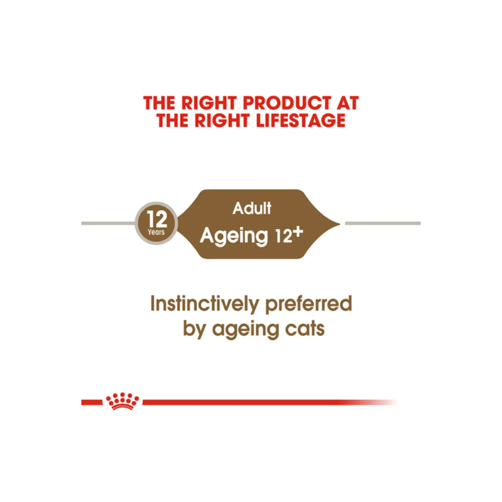 Royal Canin Salsa Sas Gravy Ageing Cat Food - Image 6