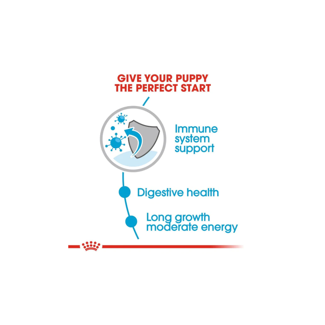 Royal Canin Maxi Puppy Wet Gravy Pouch Dog Food Chicken Flavour - Image 4