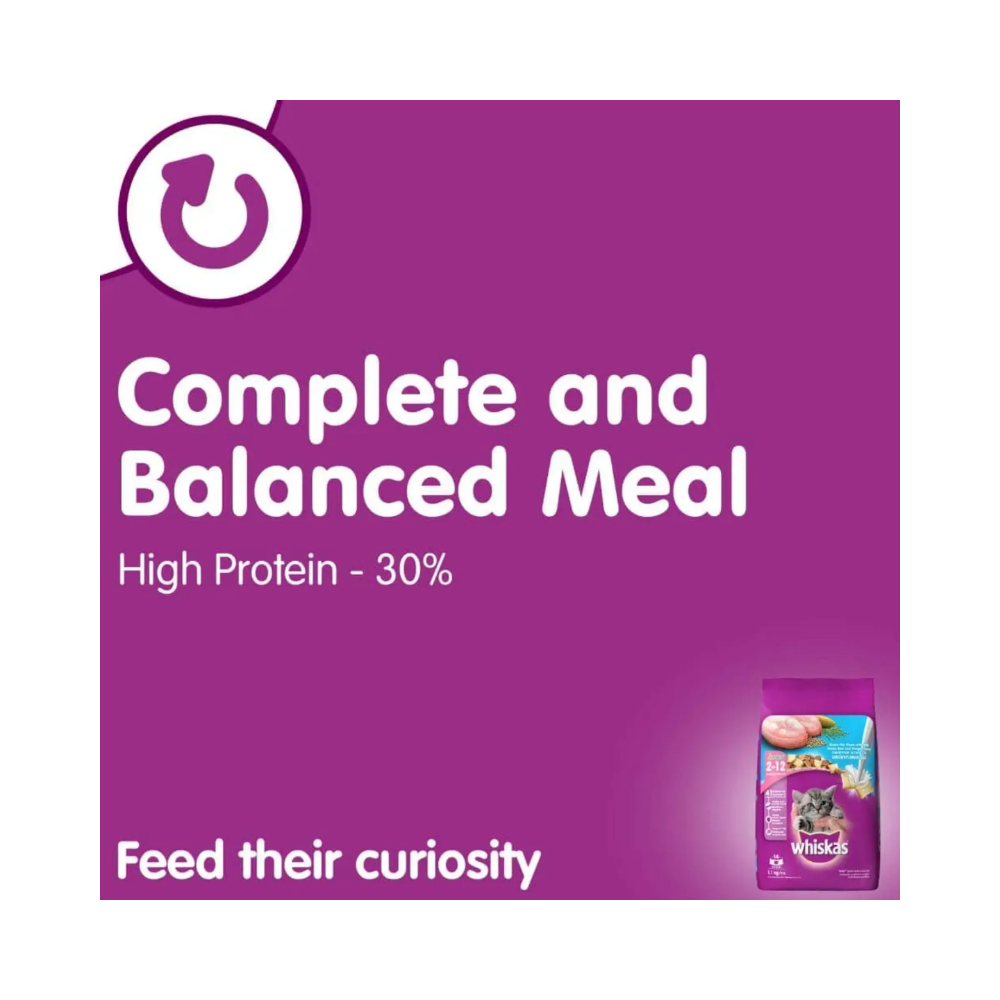 Whiskas Kitten Dry Cat Food Ocean Fish Flavour with Milk - Image 7