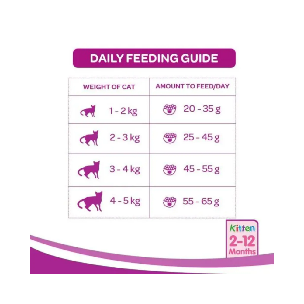 Whiskas Kitten Dry Cat Food Ocean Fish Flavour with Milk - Image 9