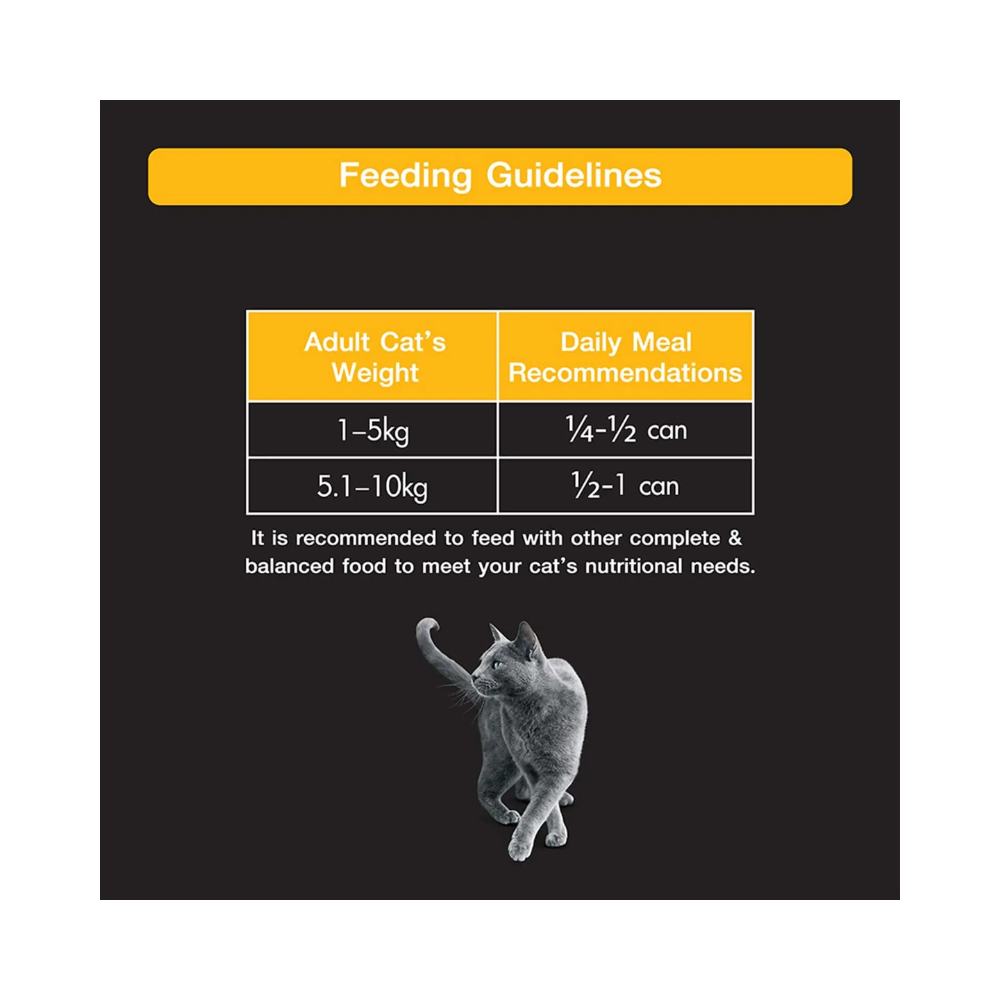 Sheba Premium Wet Cat Food - Tuna Fillet and Whole Prawns in Gravy - Image 7