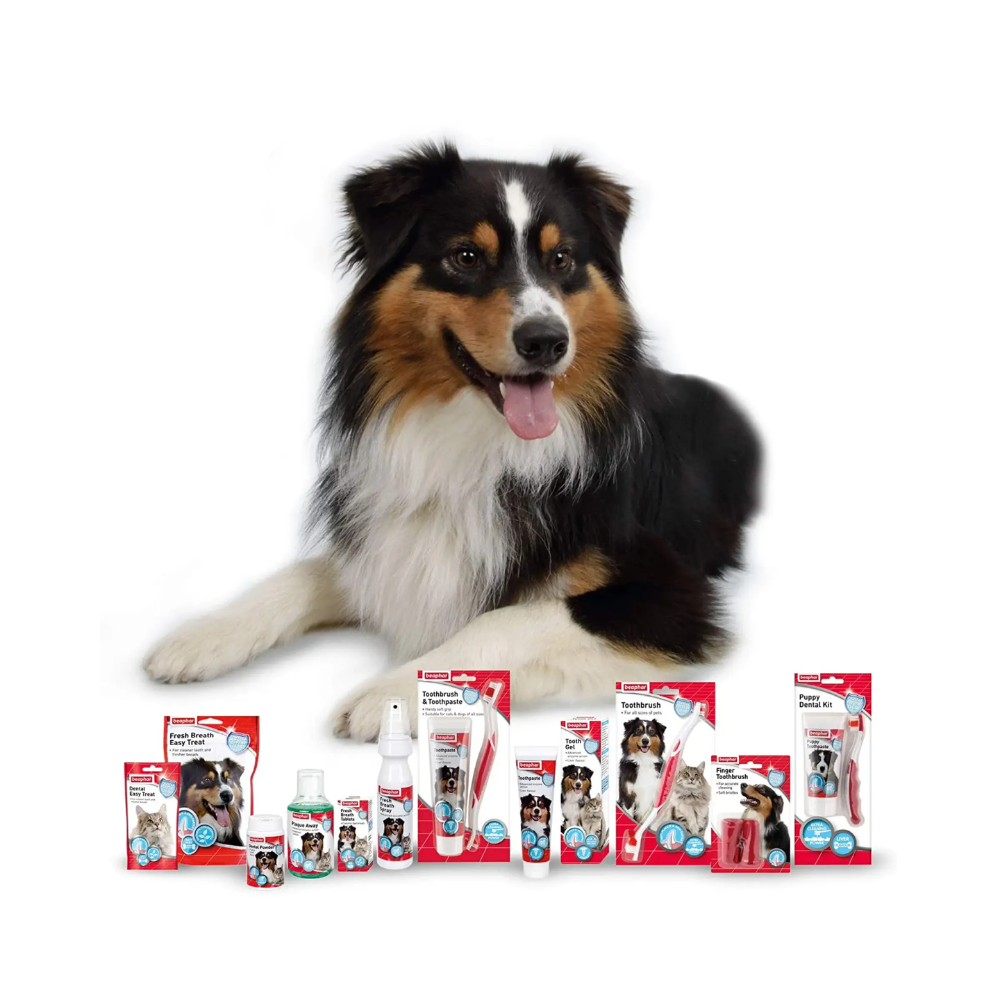 Beaphar Plaque Away Water Additive for Dogs and Cats - Image 4