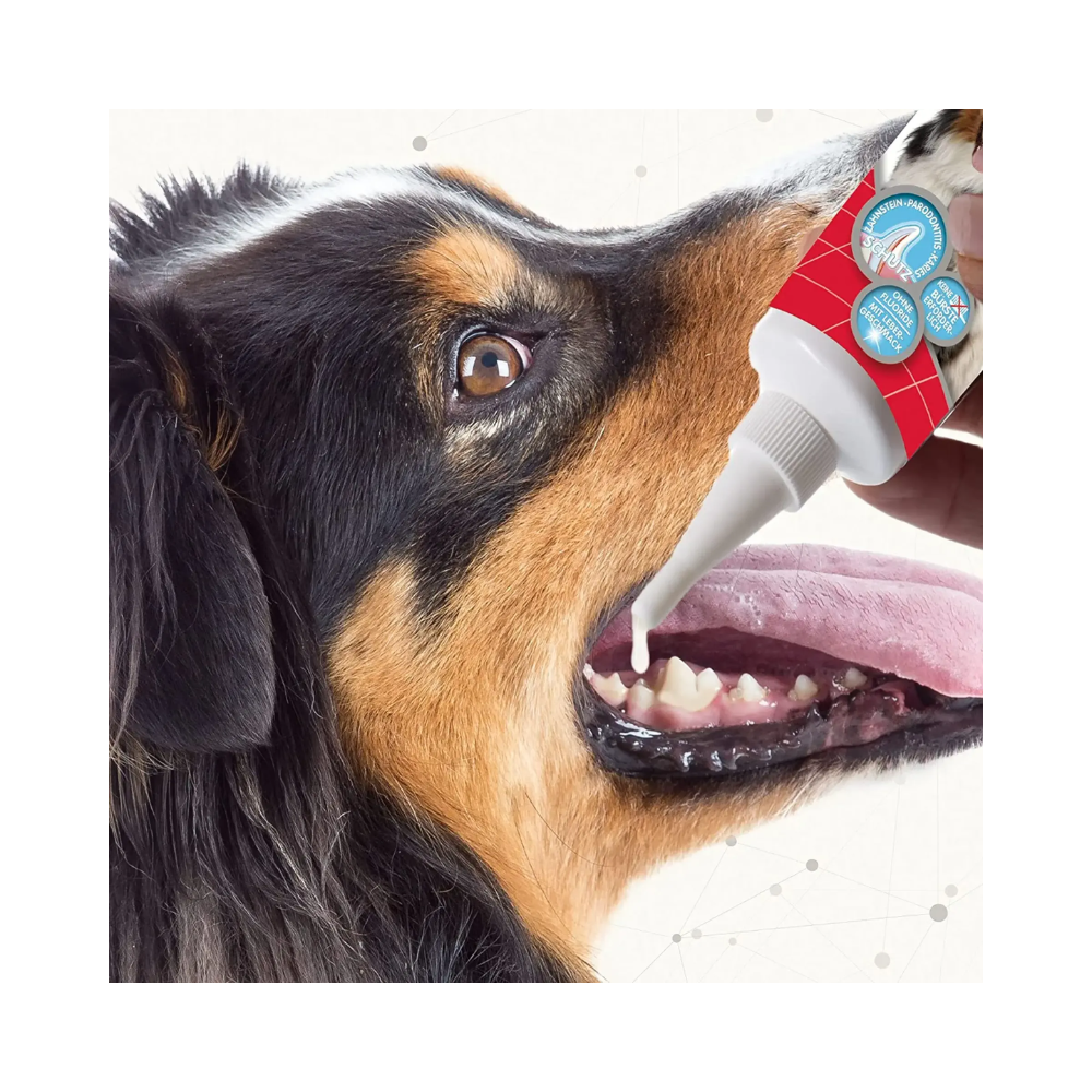 Beaphar Tooth Gel for Dogs and Cats - Image 7