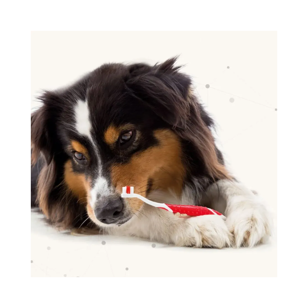 Beaphar Toothpaste for Dogs and Cats - Image 5