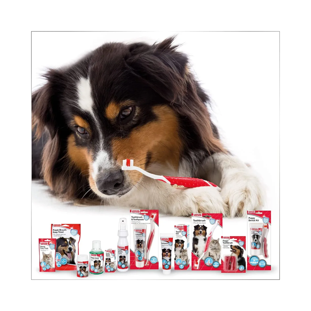 Beaphar Toothpaste for Dogs and Cats - Image 7