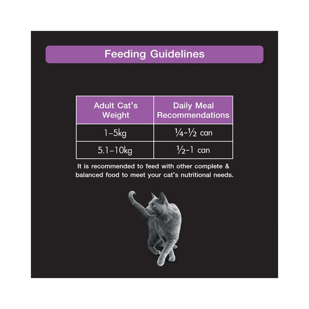 Sheba Deluxe Premium Wet Cat Food - Pure Tuna Filets in Jelly - Image 4