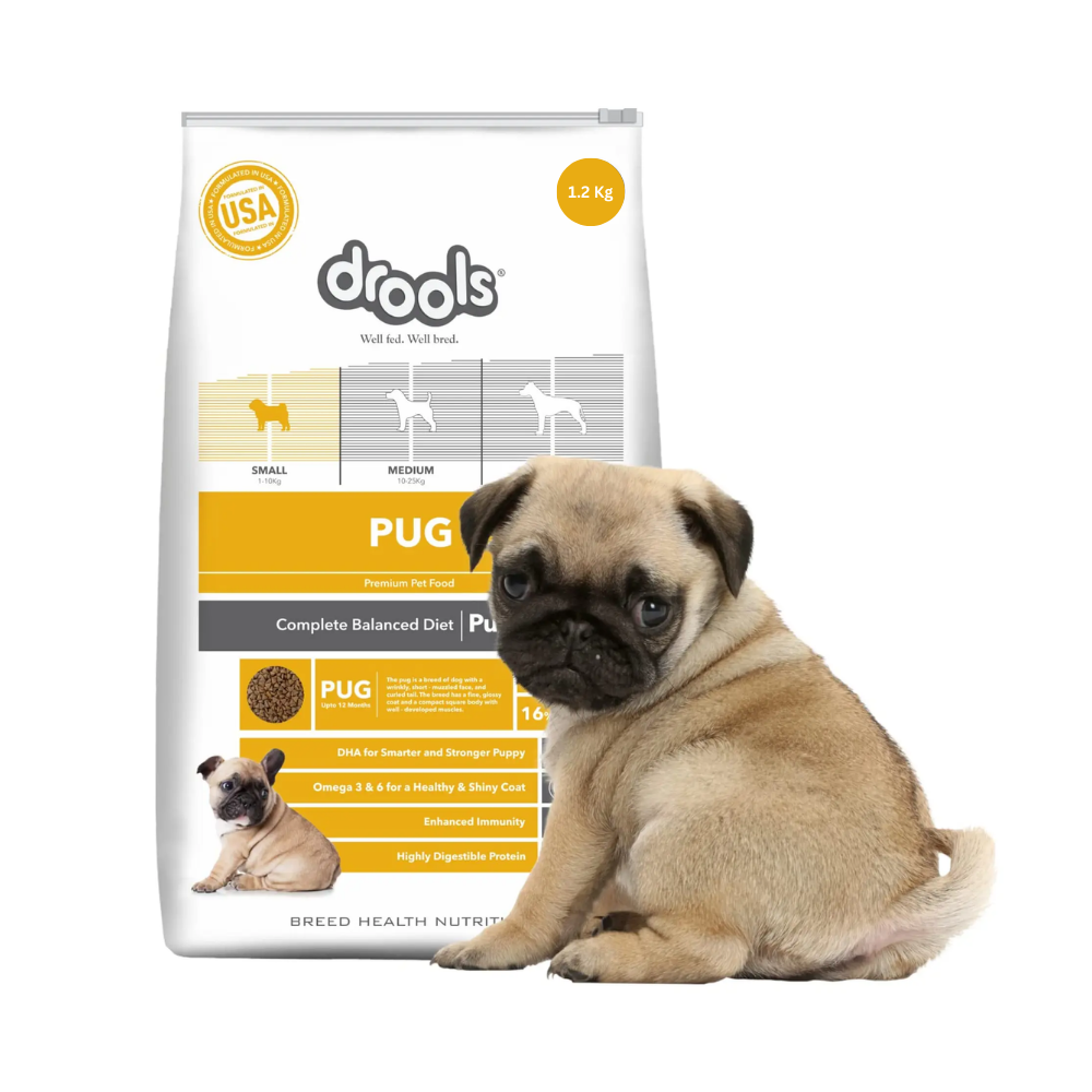 Drools Pug Puppy Premium Dog Food