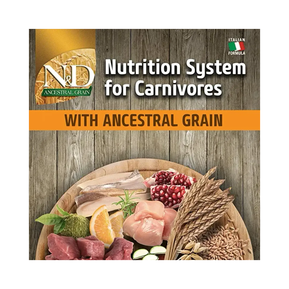 Farmina N&D Pumpkin Chicken and Pomegranate Grain Free Adult Mini Dog Dry Food - Image 11