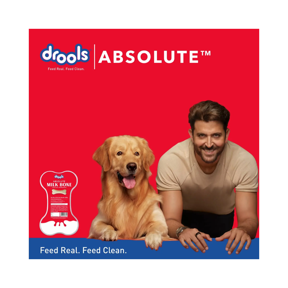 Drools Absolute Milk Bone Jar Dog Treats - Image 3