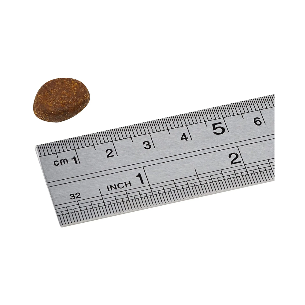 Orijen Puppy Large Breed Puppy Food - Image 5