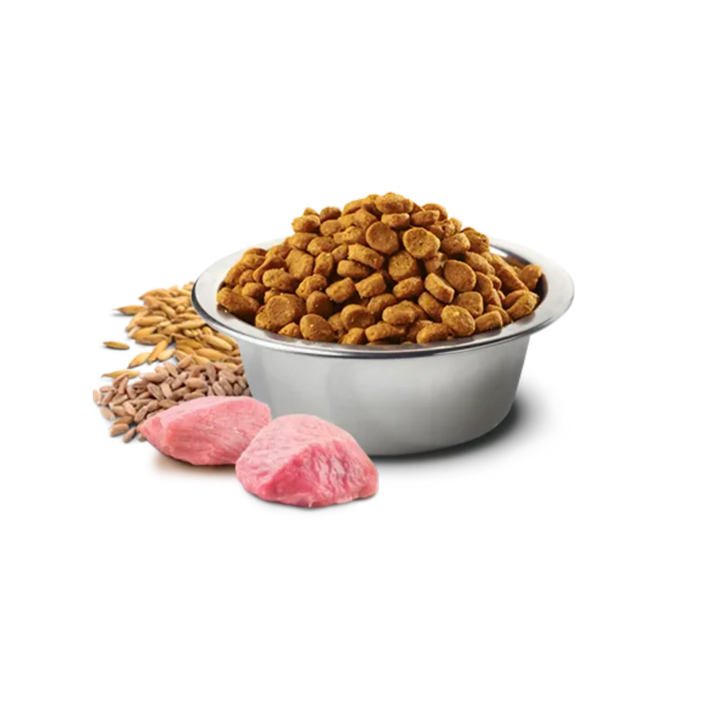 Farmina N&D Pumpkin Chicken and Pomegranate Grain Free Adult Mini Dog Dry Food - Image 4
