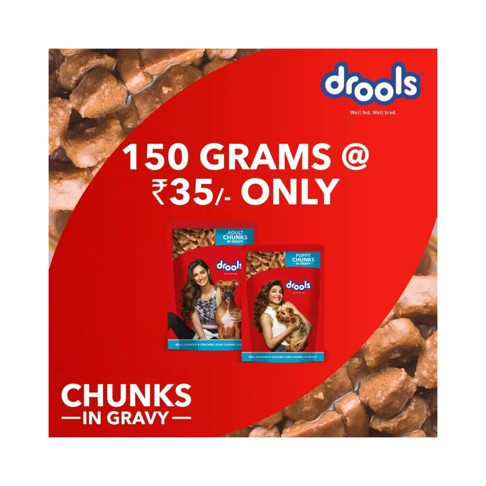 Drools Adult Wet Dog Food Real Chicken and Chicken Liver Chunks in Gravy - Image 4