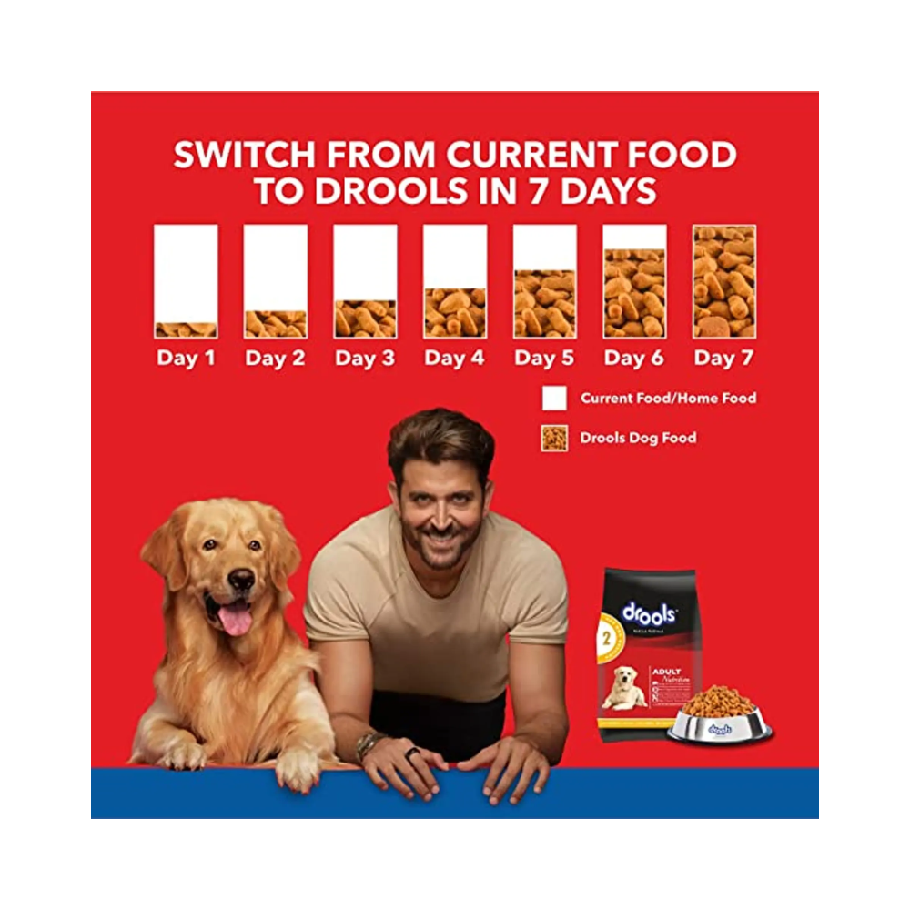 DROOLS Daily Nutrition Adult Chicken And Egg - Image 4