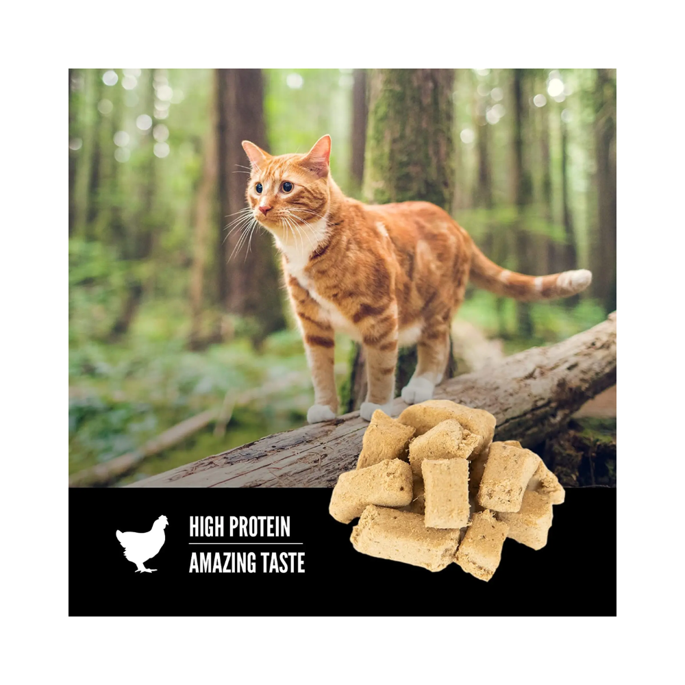 Orijen Original Cat Treat - Image 5