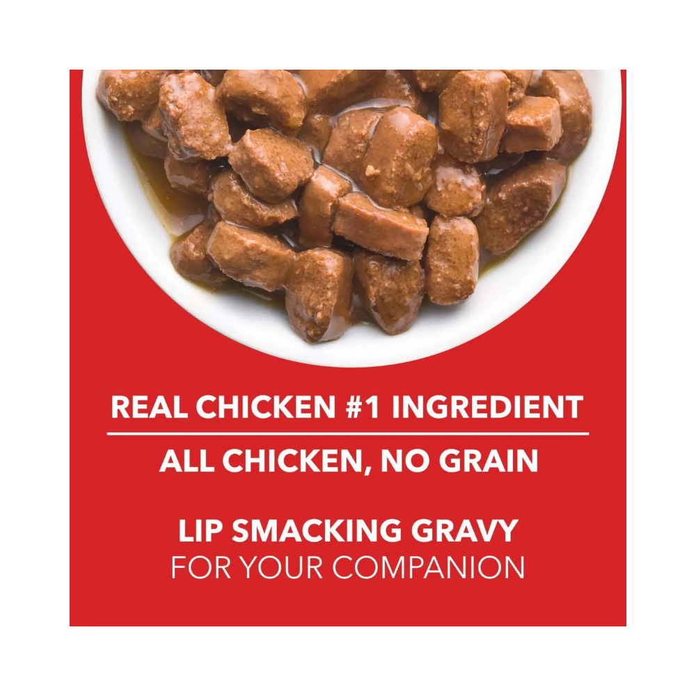Drools Adult Wet Dog Food Real Chicken and Chicken Liver Chunks in Gravy - Image 5
