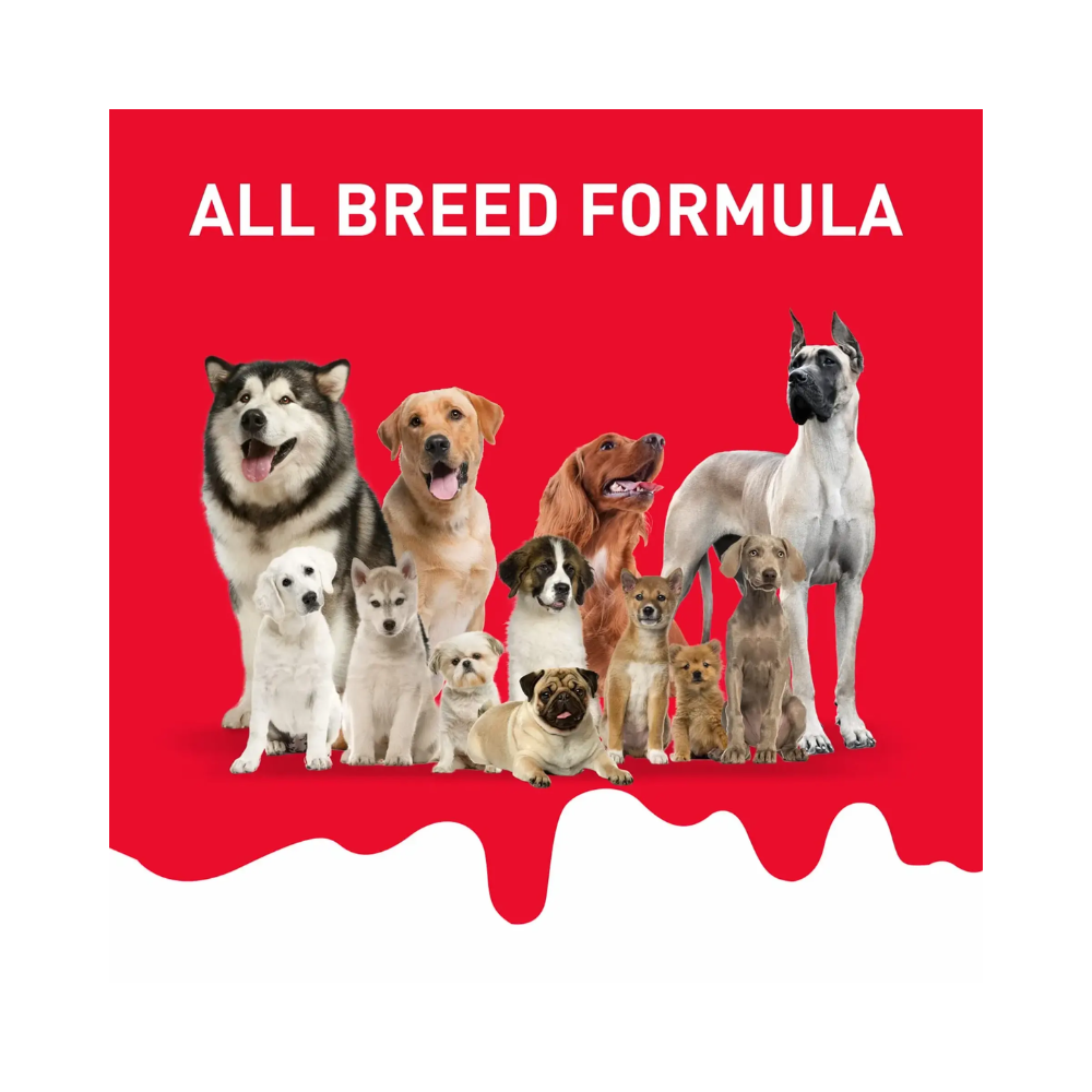 Drools Absolute Milk Bone Jar Dog Treats - Image 5