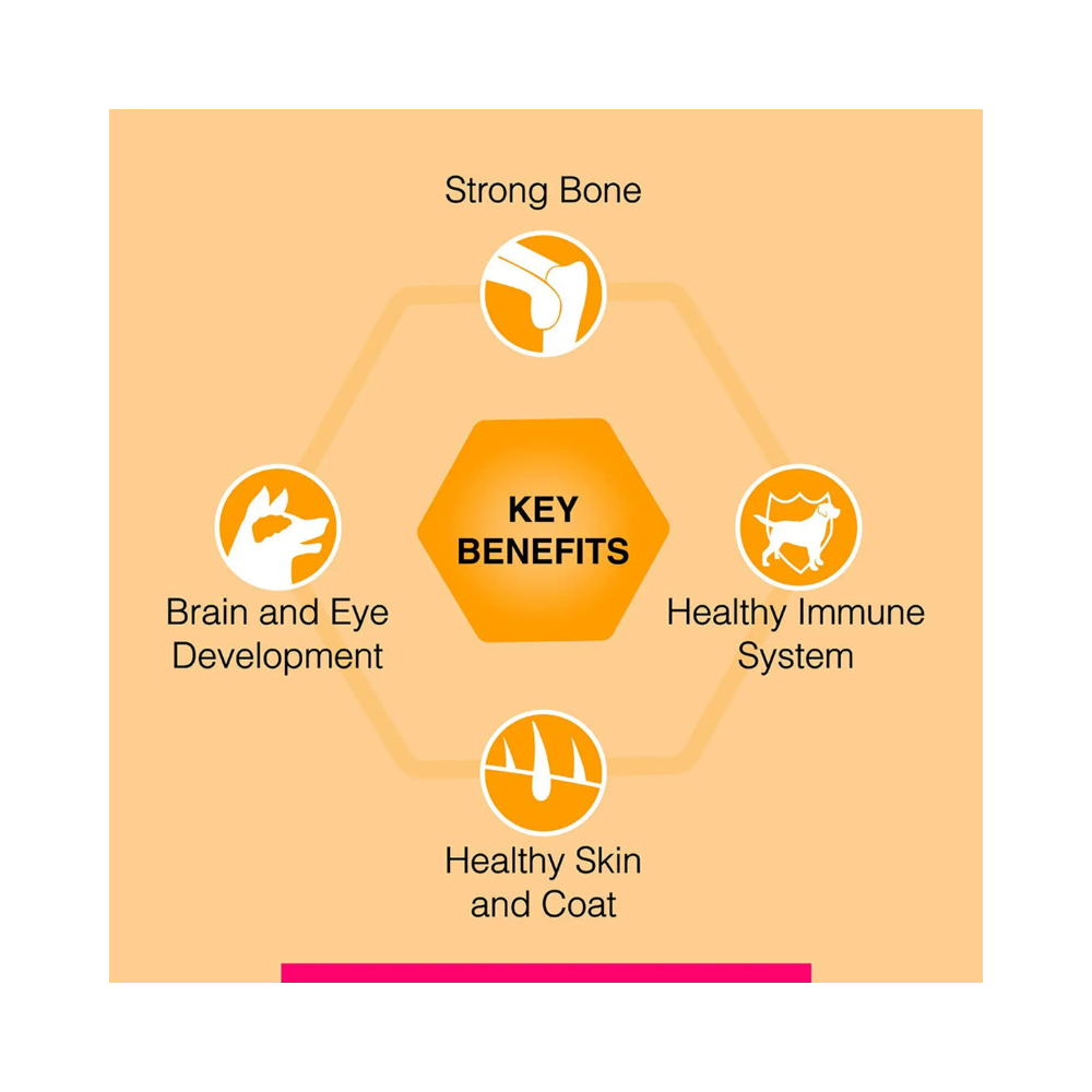 DROOLS Ultra Premium Canine Creek Puppy - Image 5