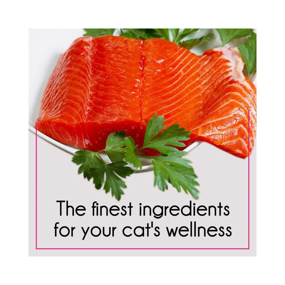PurePet Cat Adult Tuna And Salmon - Image 5