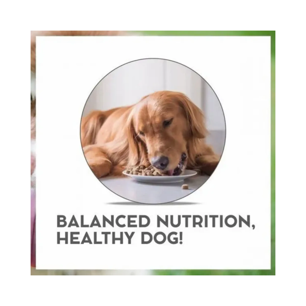 DROOLS Vet Pro Dog Adult - Image 5