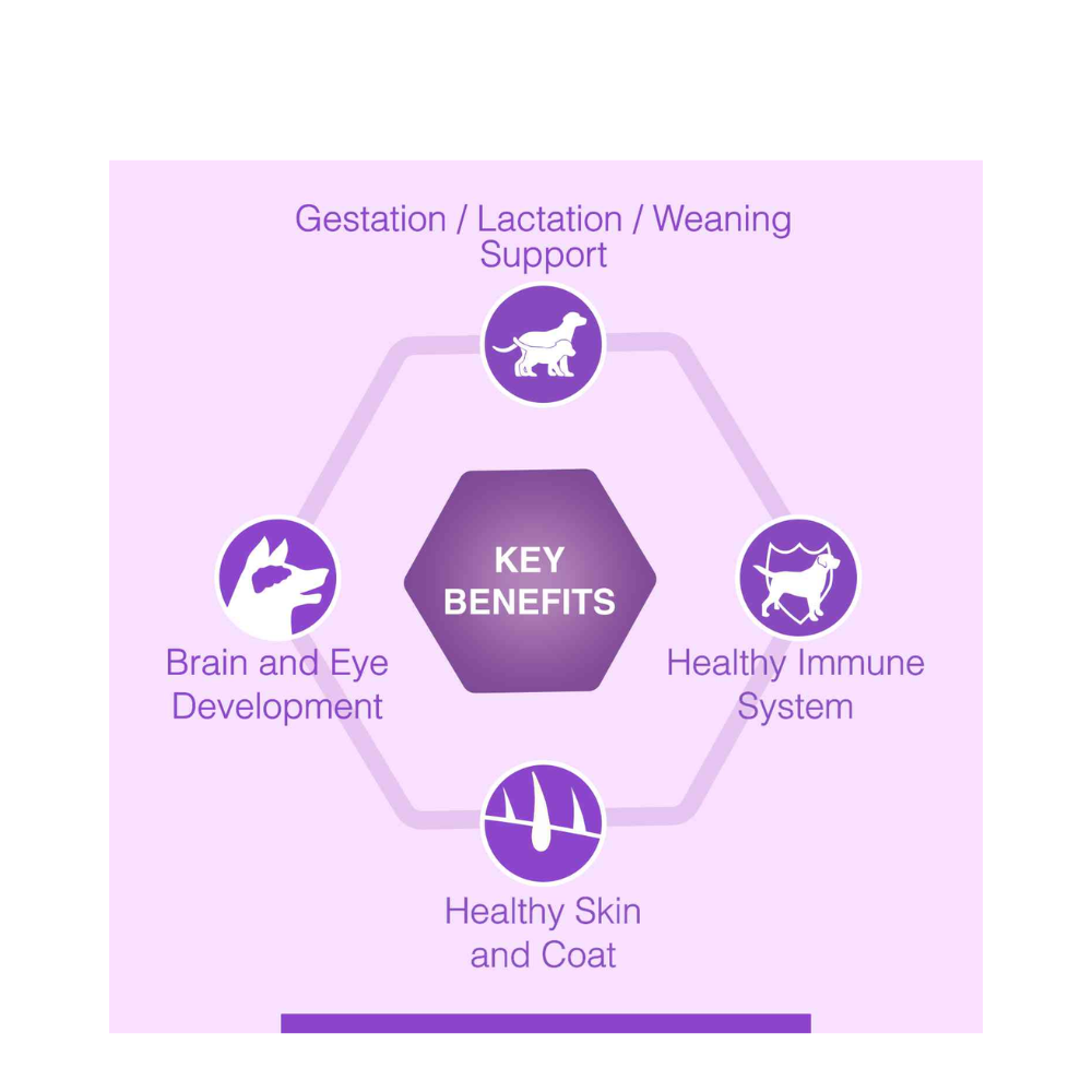 DROOLS Ultra Premium Canine Creek Starter - Image 5