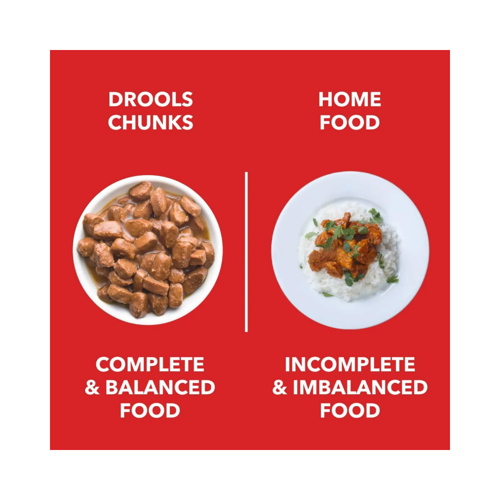 Drools Adult Wet Dog Food Real Chicken and Chicken Liver Chunks in Gravy - Image 6