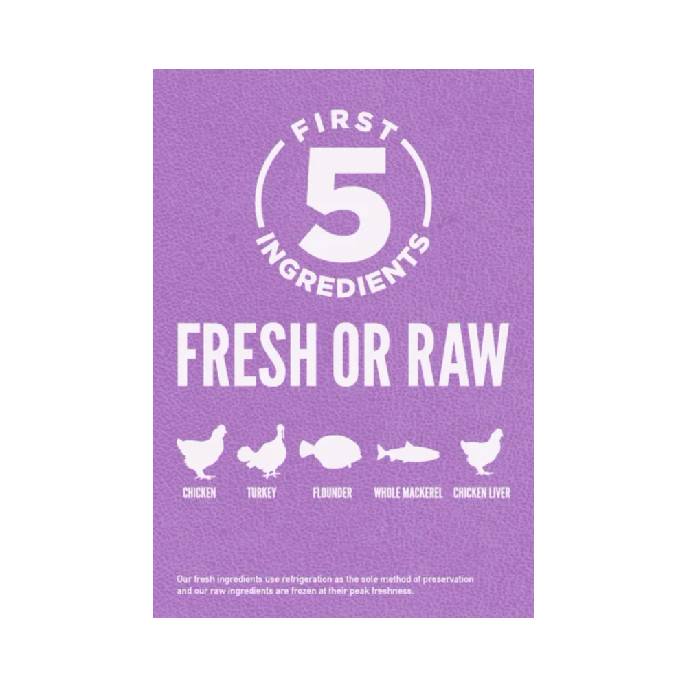 Orijen Puppy Large Breed Puppy Food - Image 8