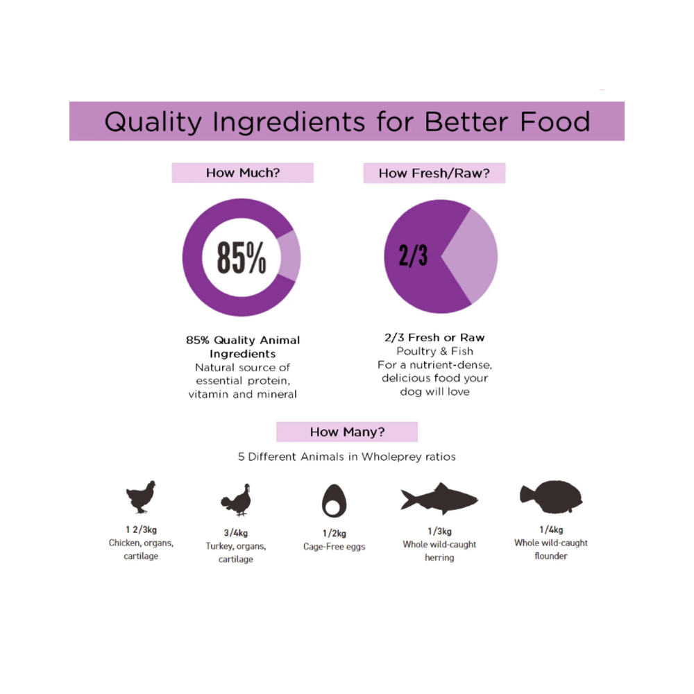 Orijen Puppy Large Breed Puppy Food - Image 10