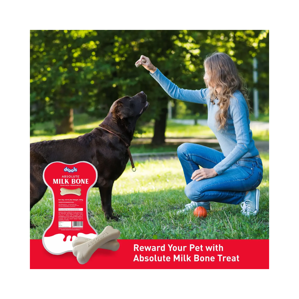 Drools Absolute Milk Bone Jar Dog Treats - Image 6