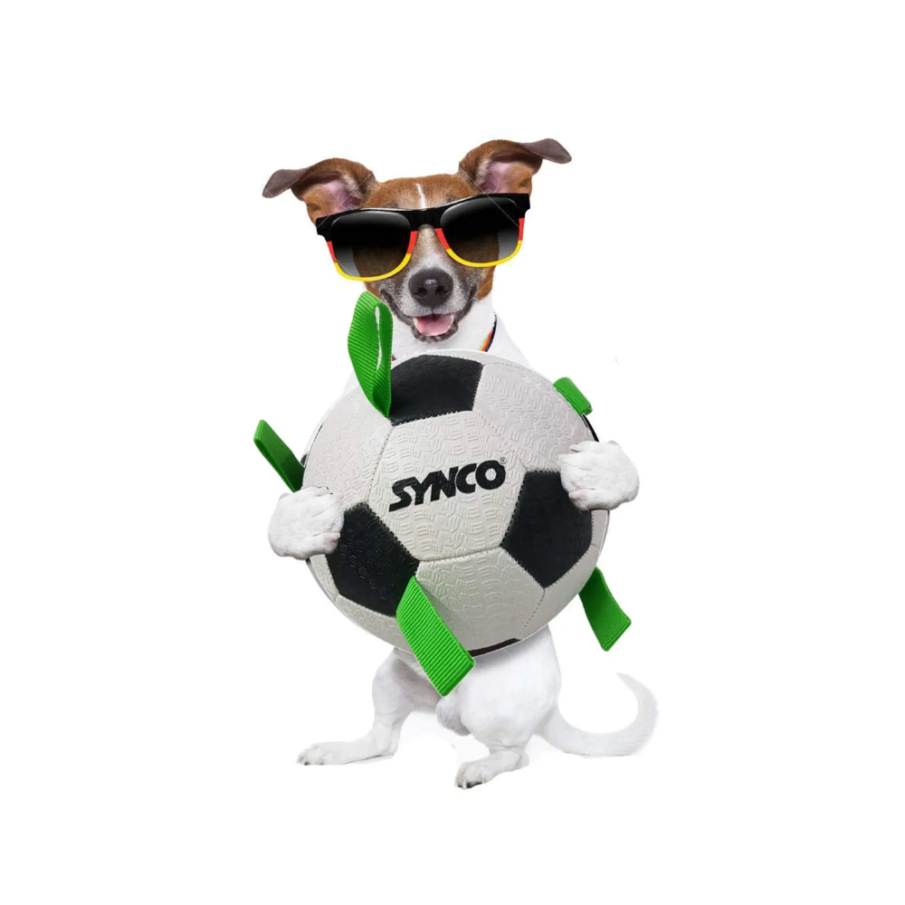 Synco Dog Ball With Green Holding Loops Football Dog Toy Size 3 - Image 3