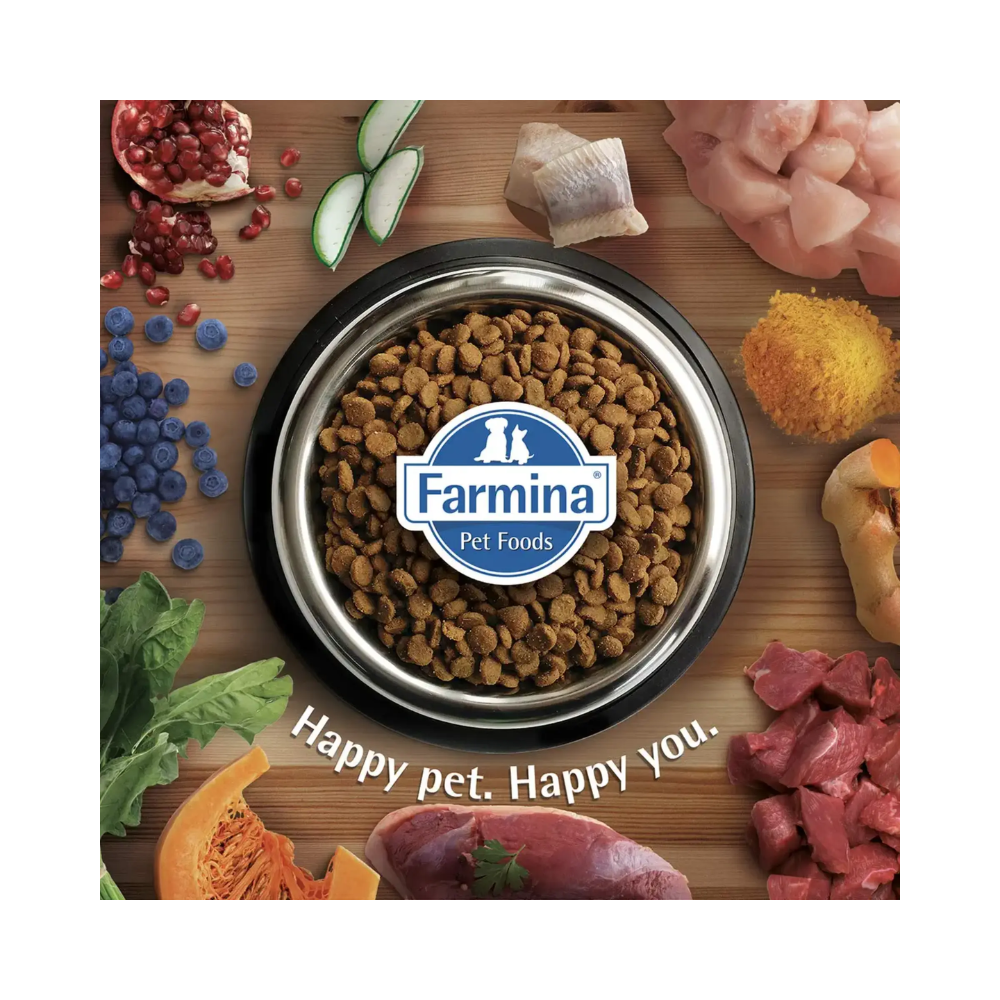 Farmina Team Breeder Grain Free Top Adult Chicken Food - Image 3